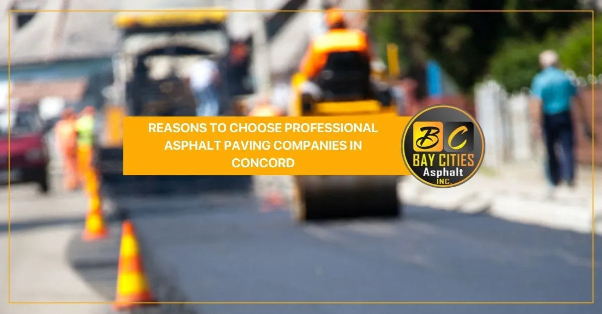 reasons to choose professional asphalt paving companies in concord